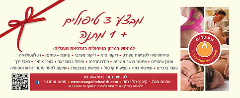 פרסום מעגלים